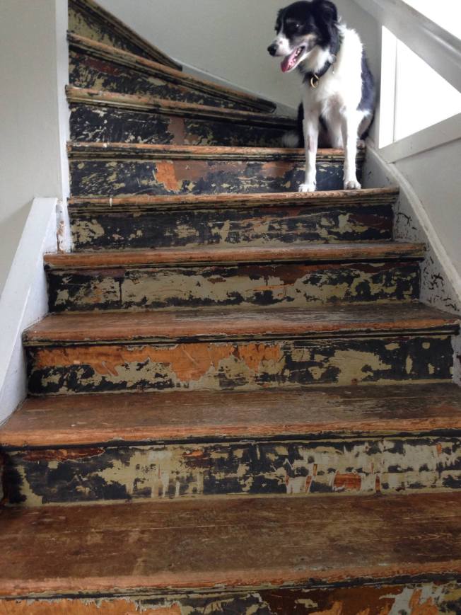 1909247_10152797610666810_4414893263535736983_o